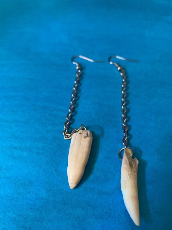 Alligator Teeth Earrings (large)