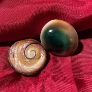 Cat Eye Shell