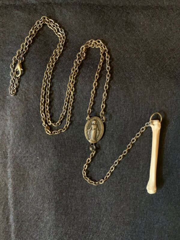 Coyote Bone Rosary