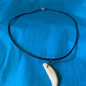 Coyote Canine Necklace