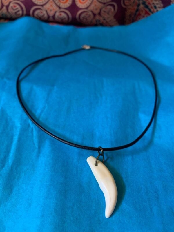 Coyote Canine Necklace
