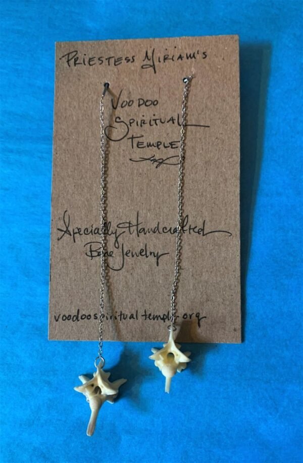 Rattlesnake Vertebrae Earrings
