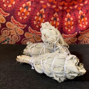 Sage Bundle (small)